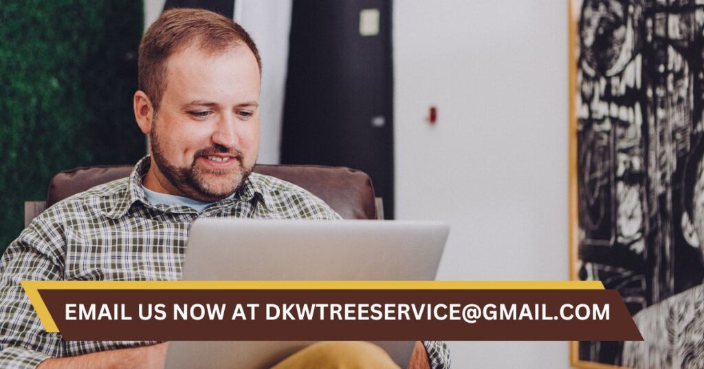 DKW Tree Service Randalia Tripoli West Union Sumner Fayette Iowa Cutting Trimming Stump Removal Karla David Walvatne